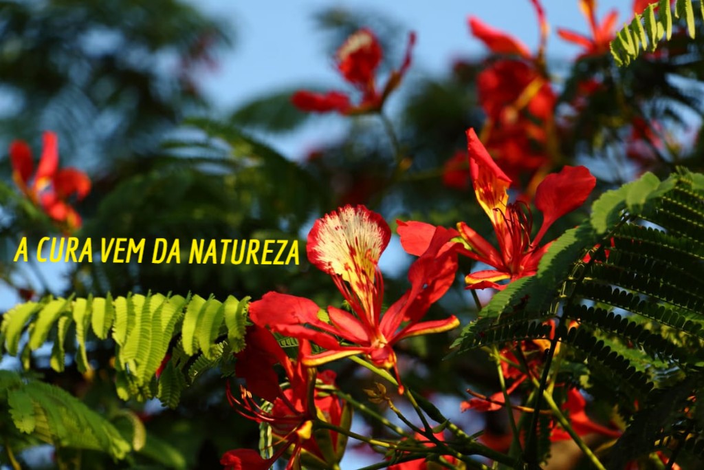 WRocco Fotografia_instagram_wrocco66_1.jpg