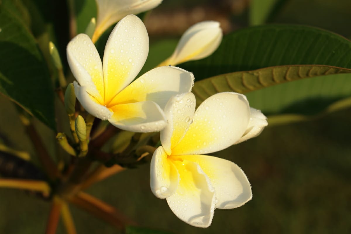 WRocco Fotografia_instagram_wrocco66_6.jpg