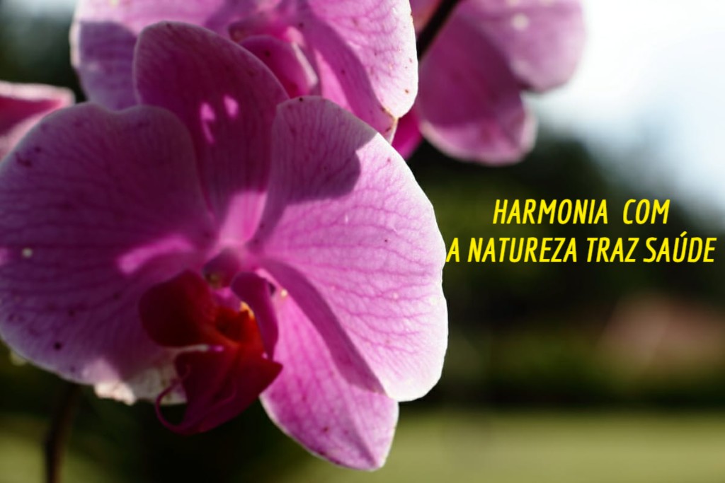 WRocco Fotografia_instagram_wrocco66_5.jpg