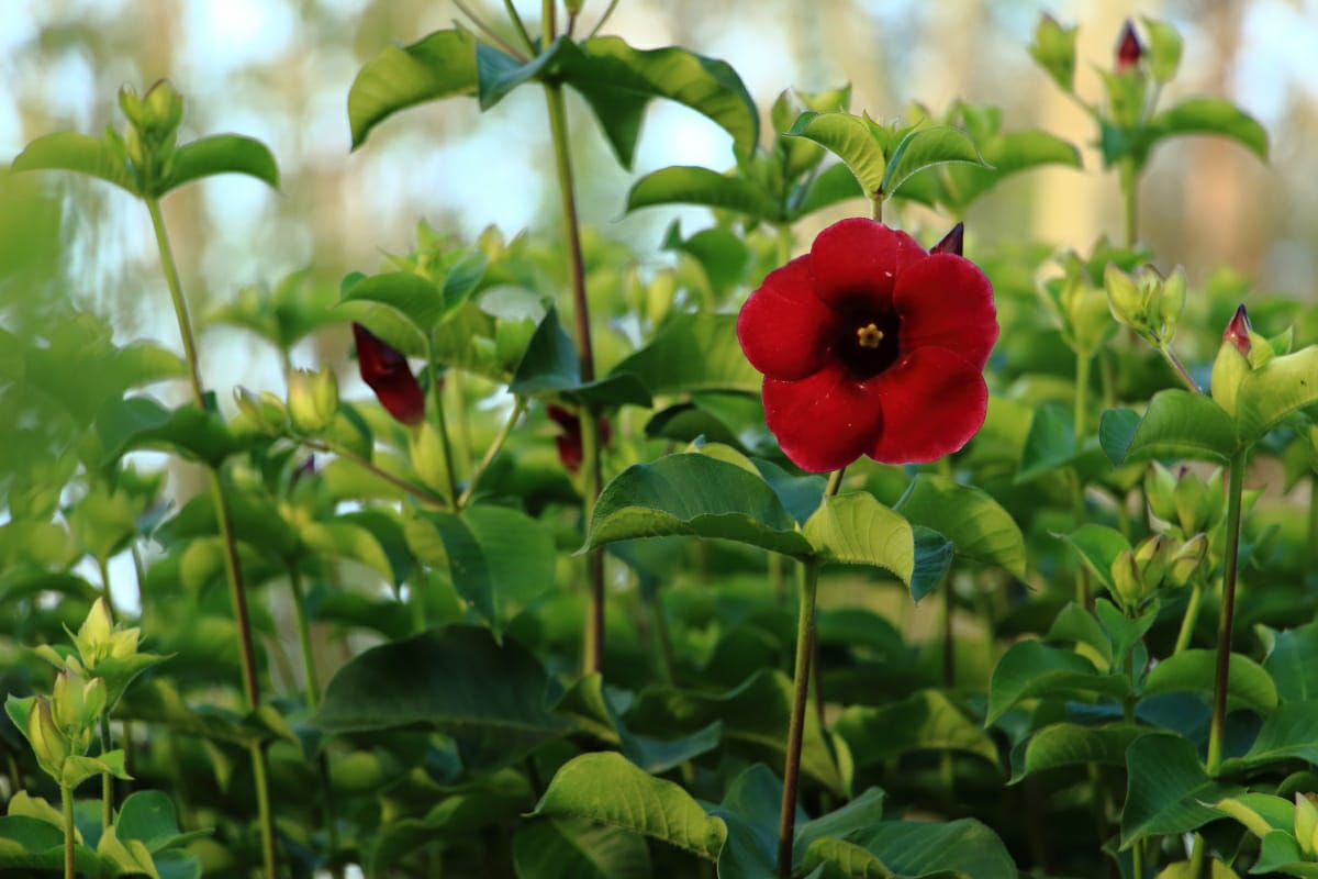 WRocco Fotografia_instagram_wrocco66_4.jpg