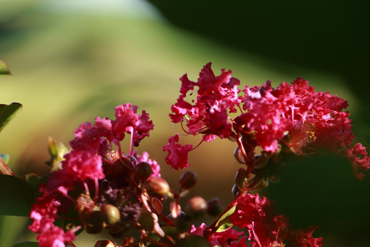 WRocco Fotografia_instagram_wrocco66_2.jpg